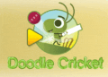 Doodle Cricket