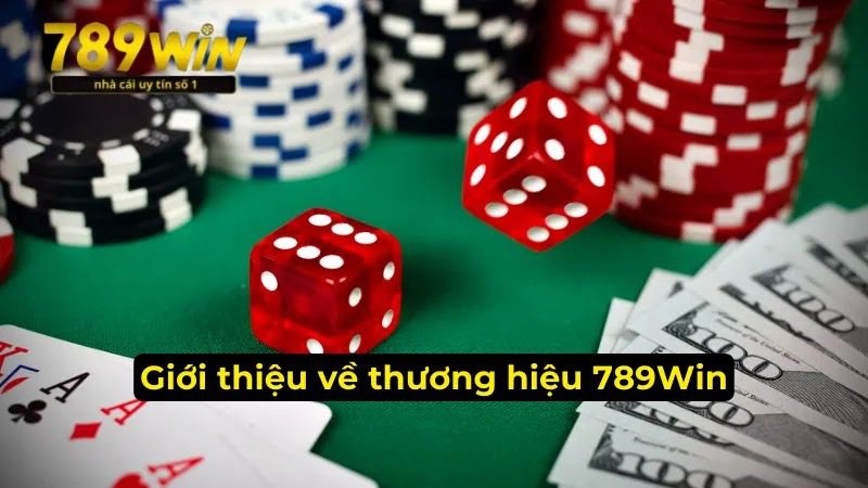 Nhà cái 789Win - Thương Hiệu Giải Trí Đẳng Cấp Thế Giới