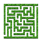 Maze
