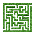 Maze