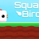 Square Bird